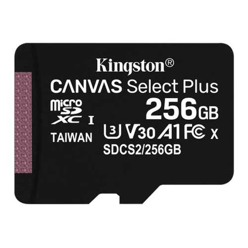 Карта памяти Kingston 256GB Canvas Select Plus (SDCS2/256GBSP) в Связной