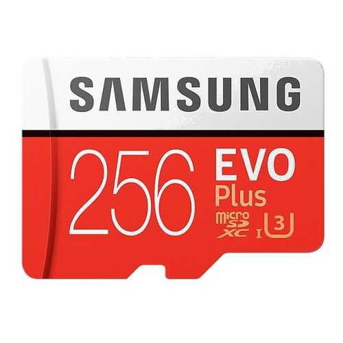 Карта памяти Samsung 256GB EVO plus (MB-MC256HARU) в Связной